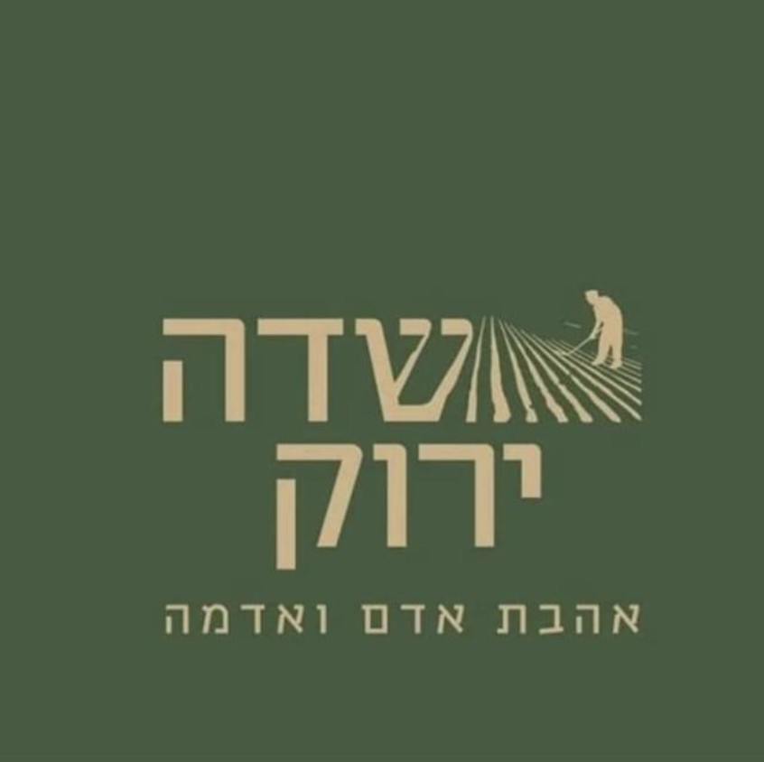 דנה שטיין