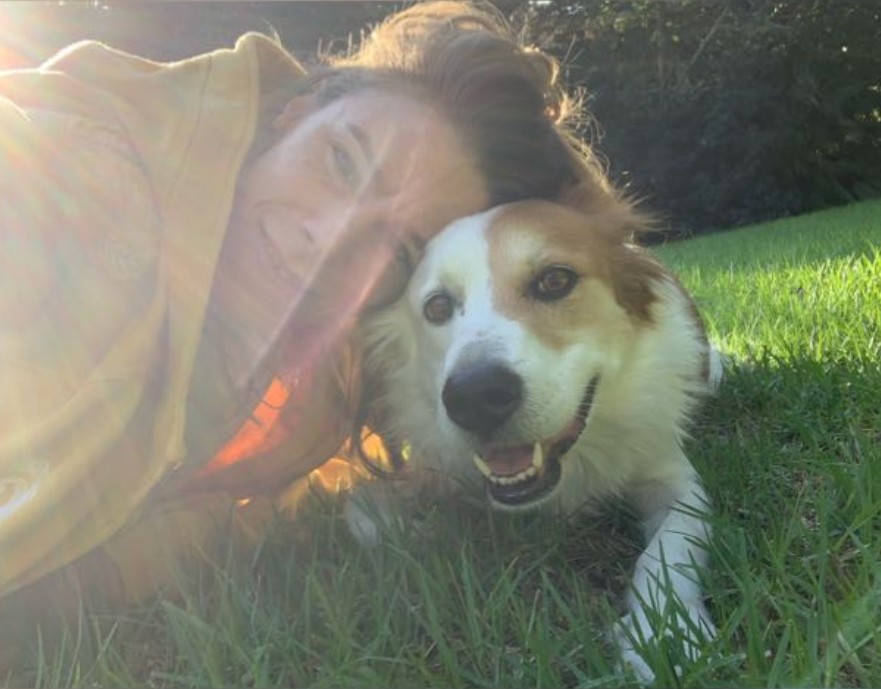 מיכי הברקורן