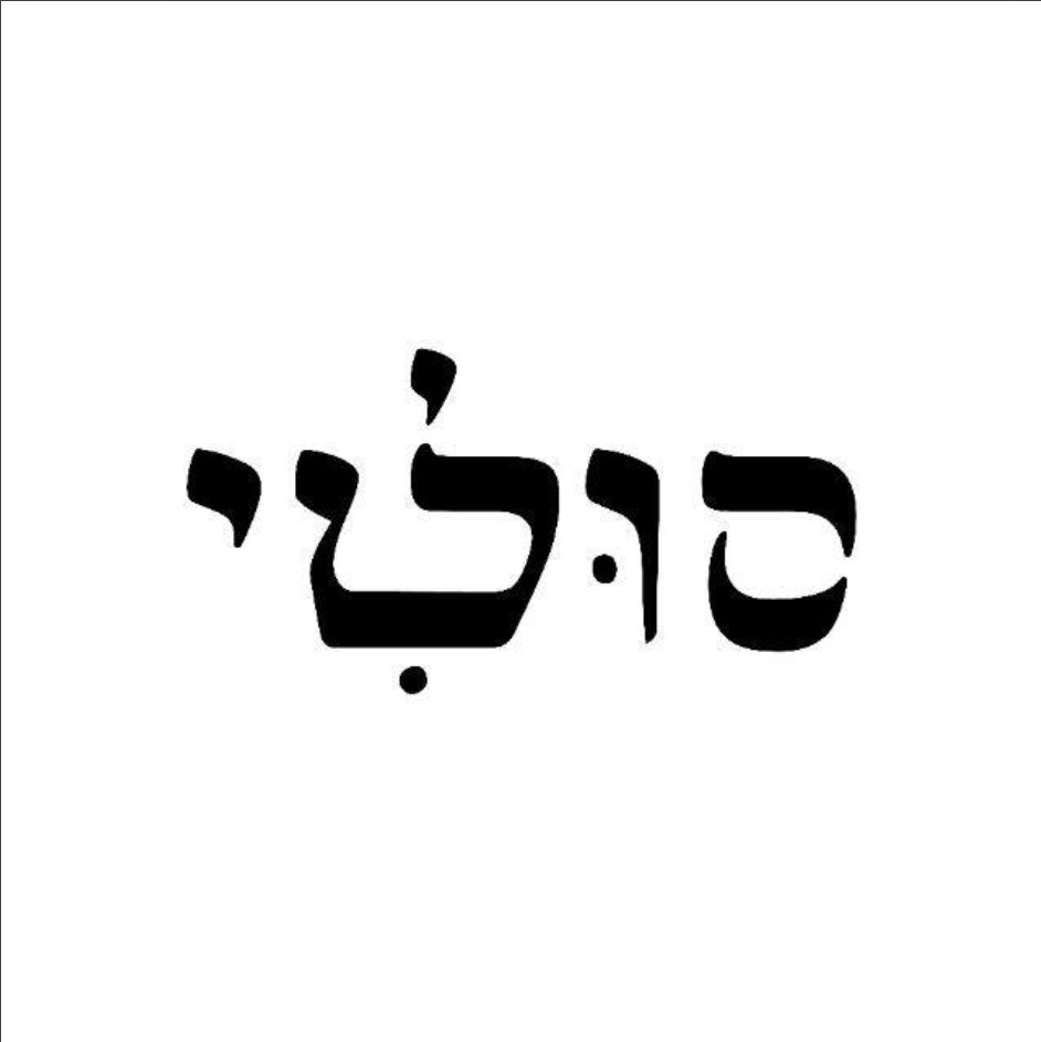 סולטי